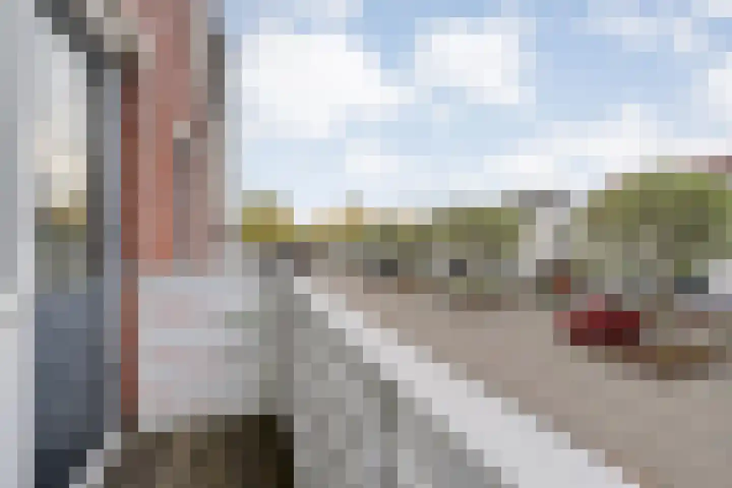 Boterbloem 117 Hardenberg thumbnail 33