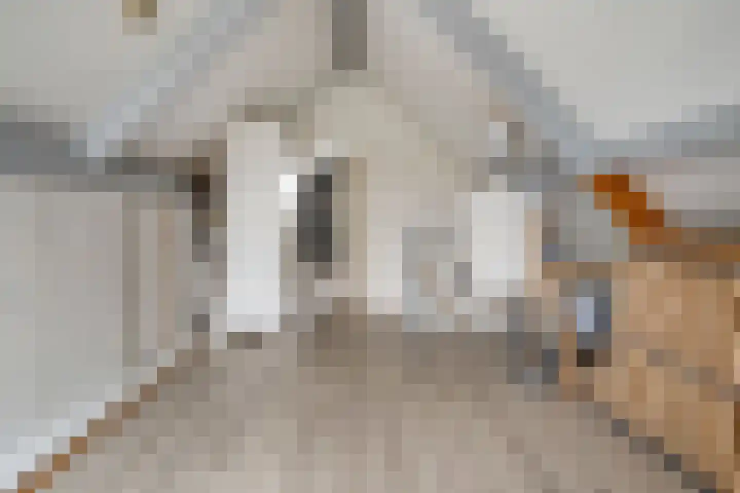 Boterbloem 117 Hardenberg thumbnail 39