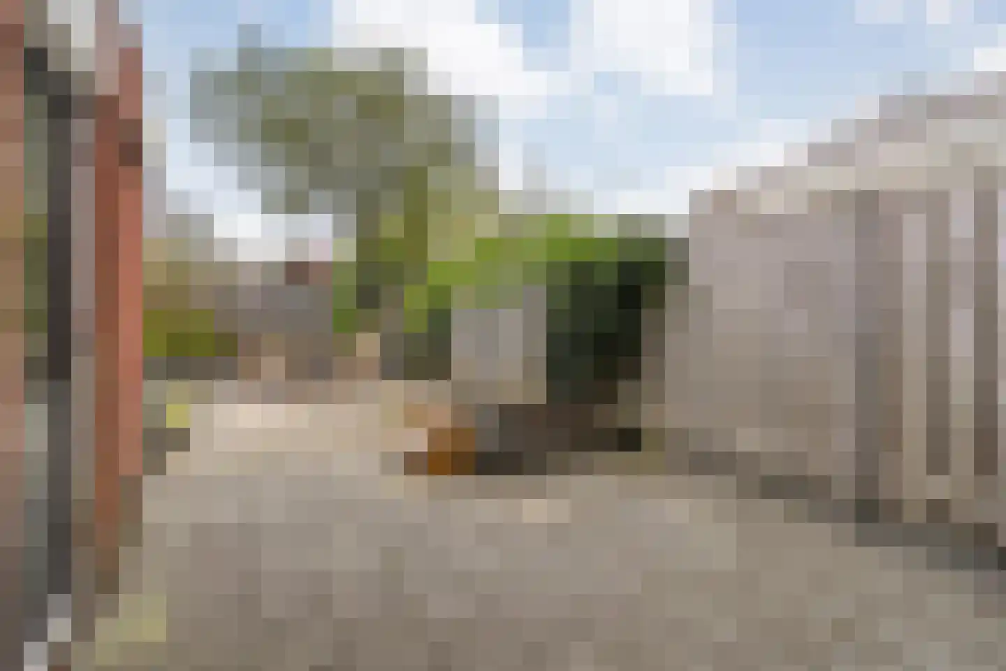 Boterbloem 117 Hardenberg thumbnail 43