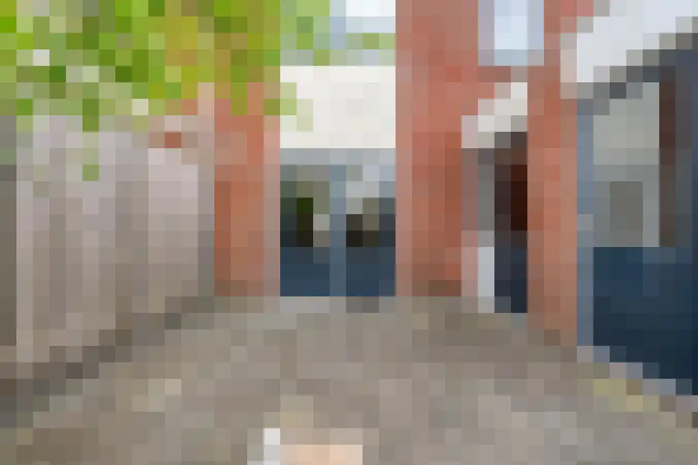 Boterbloem 117 Hardenberg thumbnail 44
