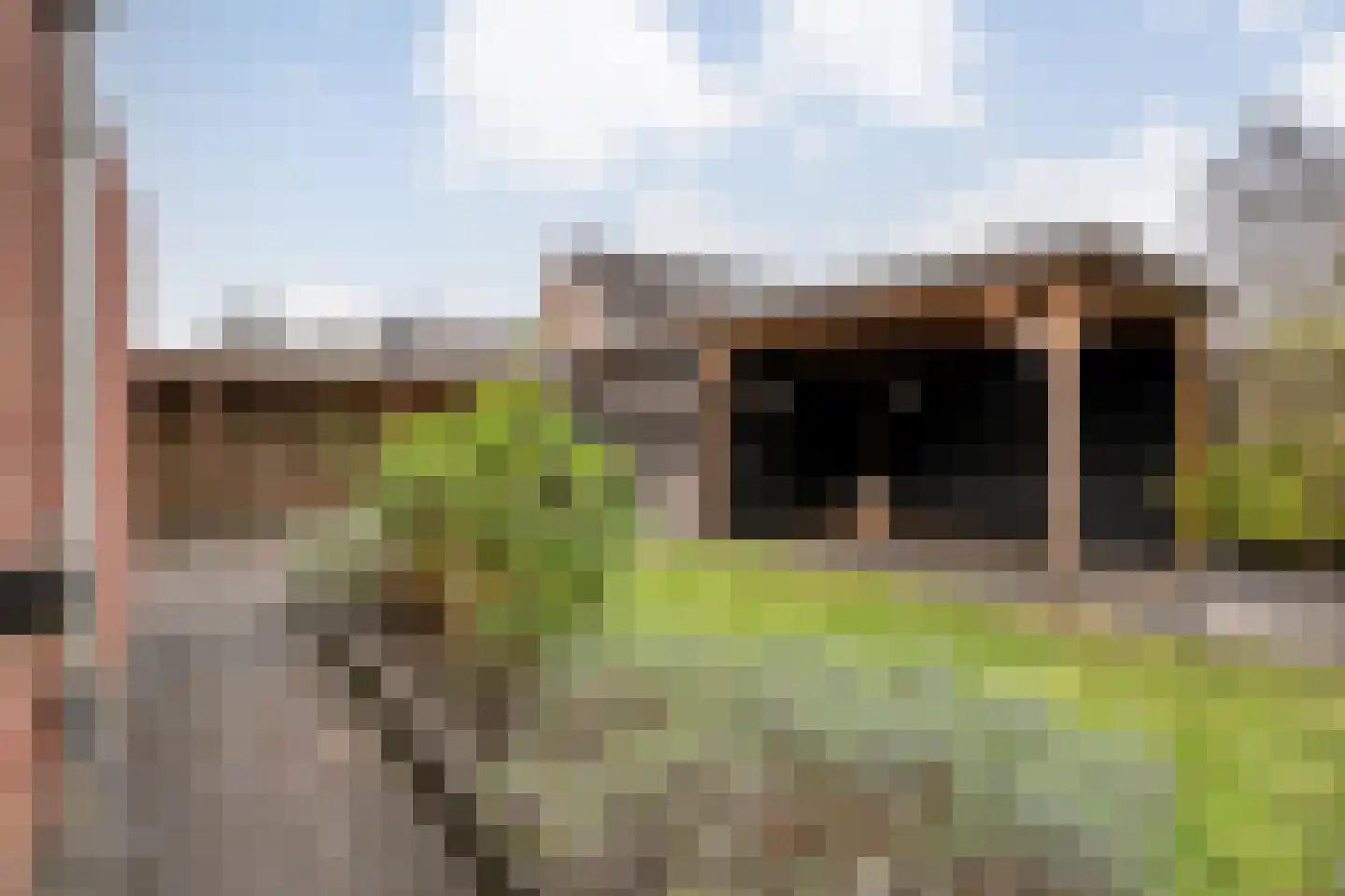 Boterbloem 117 Hardenberg thumbnail 47