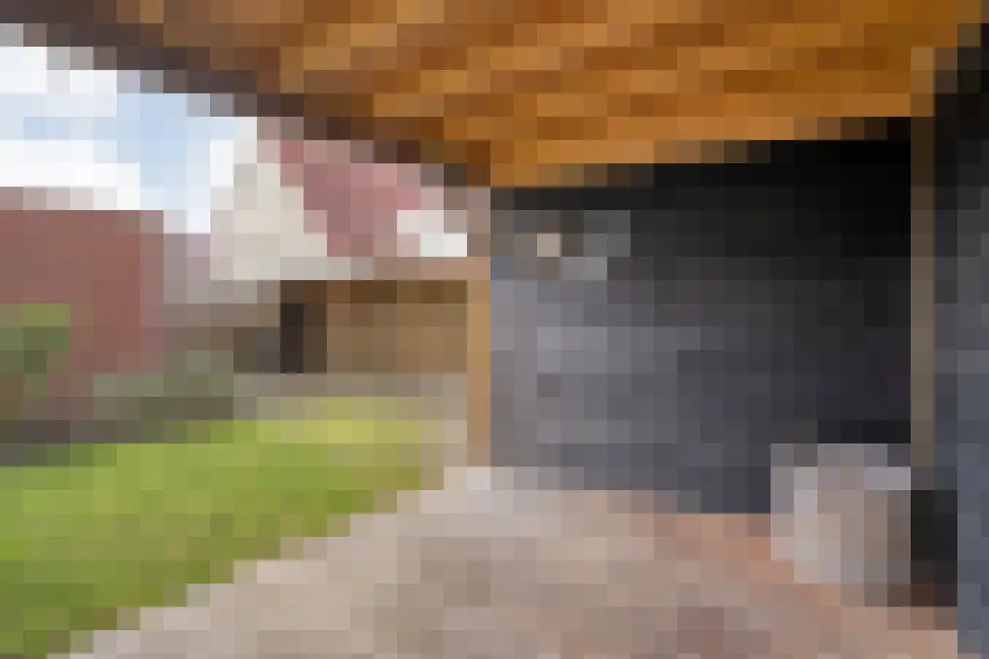 Boterbloem 117 Hardenberg thumbnail 49