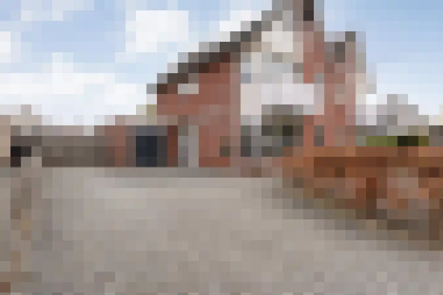 Boterbloem 117 Hardenberg thumbnail 5