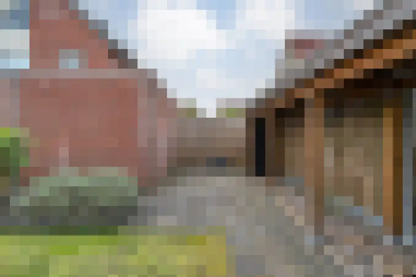 Boterbloem 117 Hardenberg thumbnail 50
