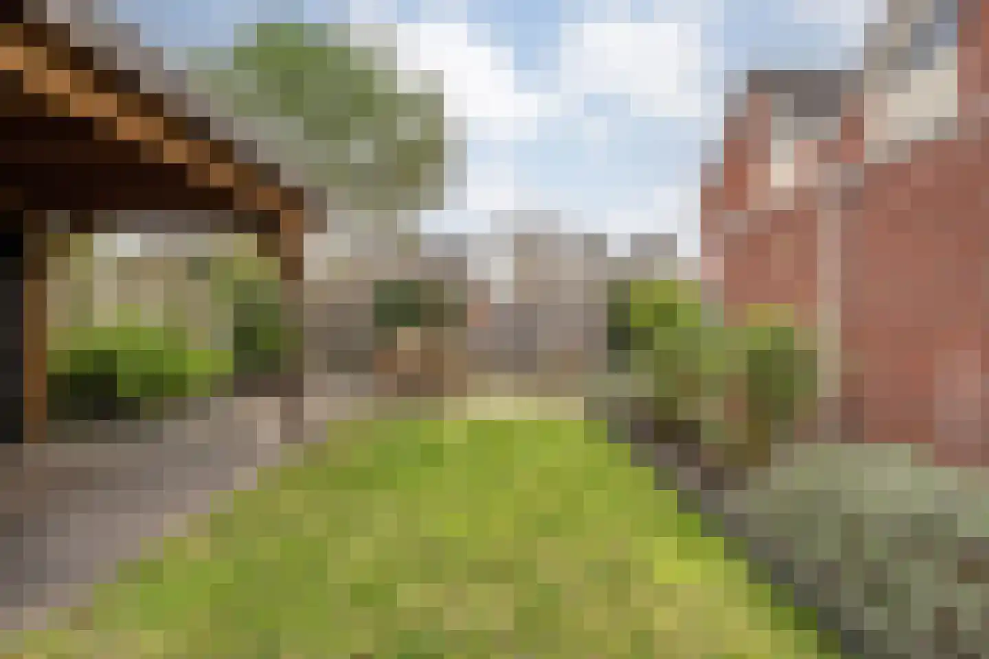 Boterbloem 117 Hardenberg thumbnail 51