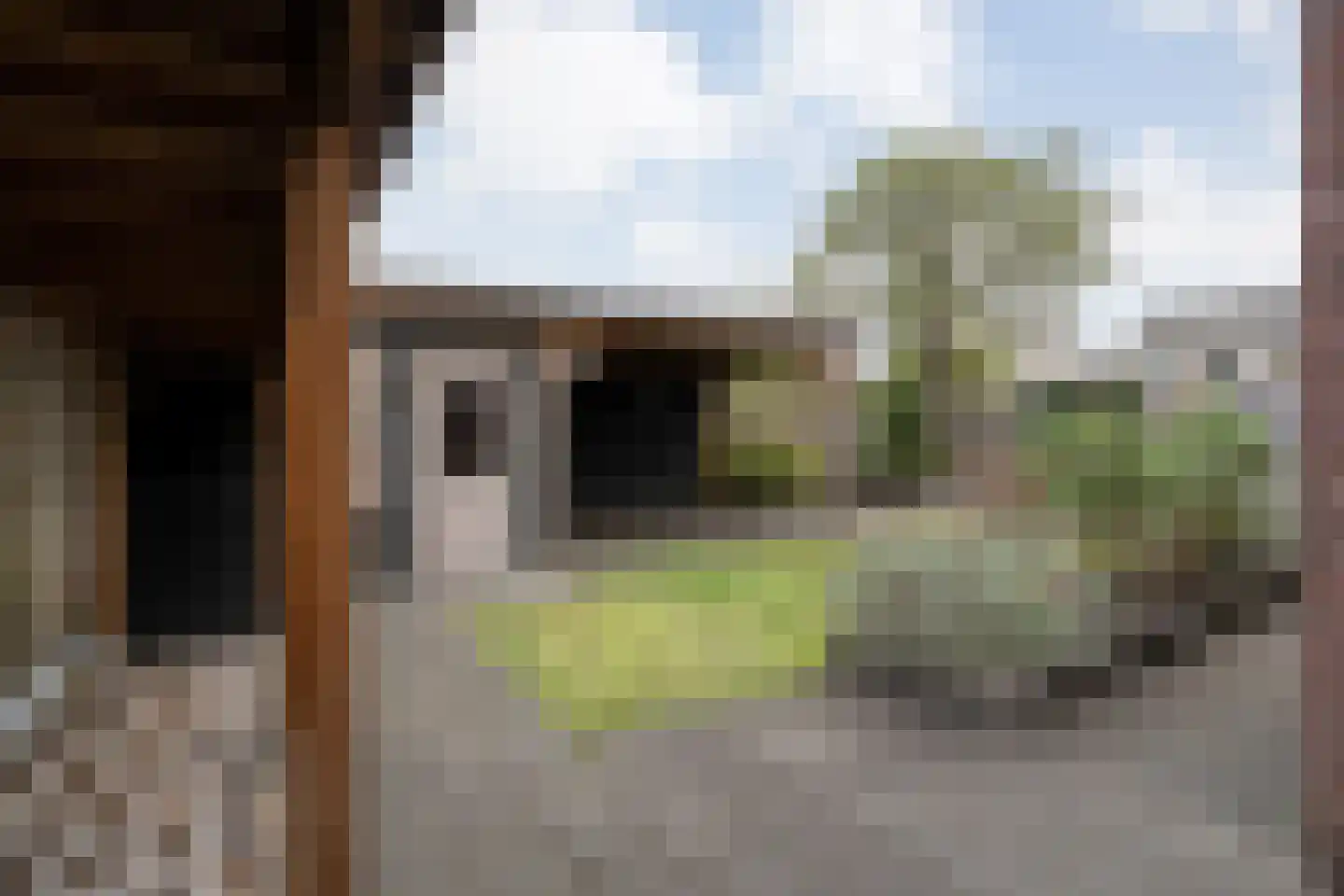 Boterbloem 117 Hardenberg thumbnail 52