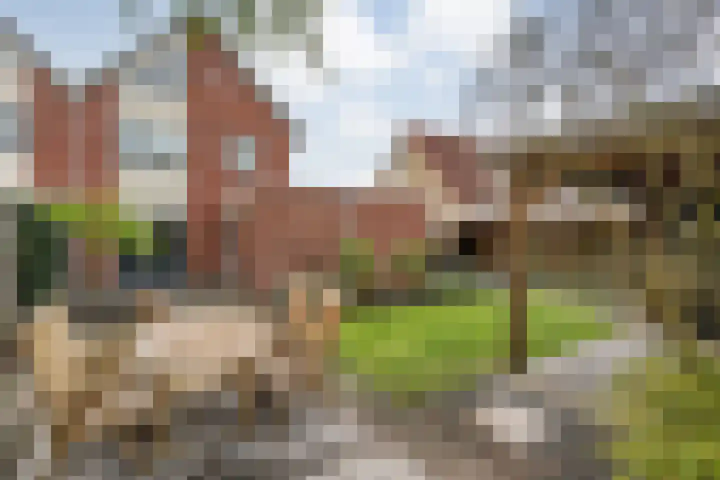 Boterbloem 117 Hardenberg thumbnail 53