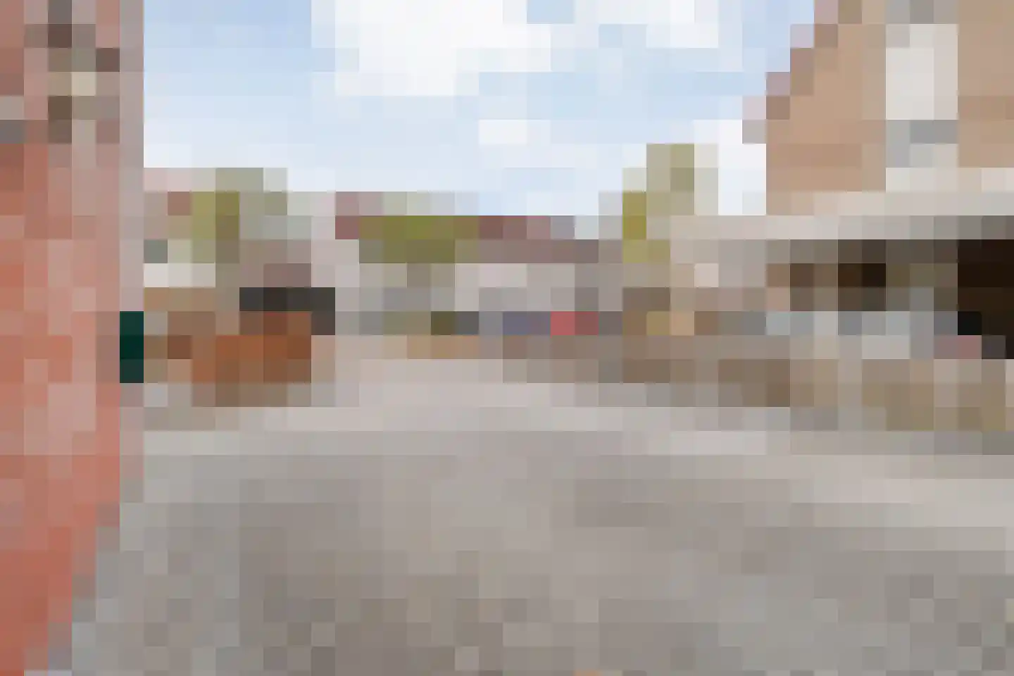 Boterbloem 117 Hardenberg thumbnail 6