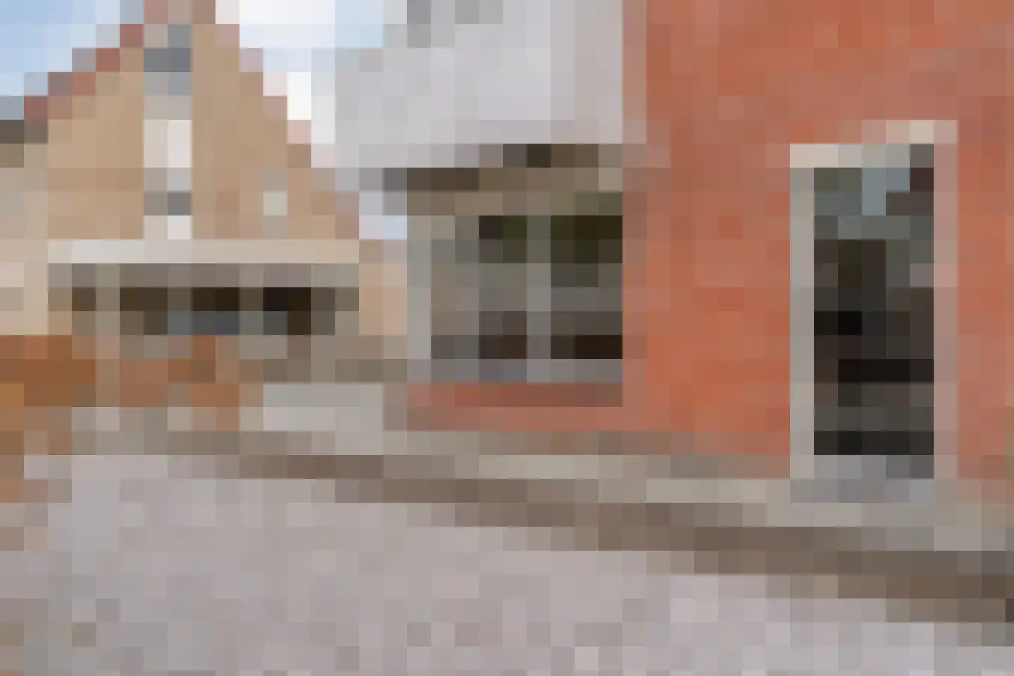 Boterbloem 117 Hardenberg thumbnail 7