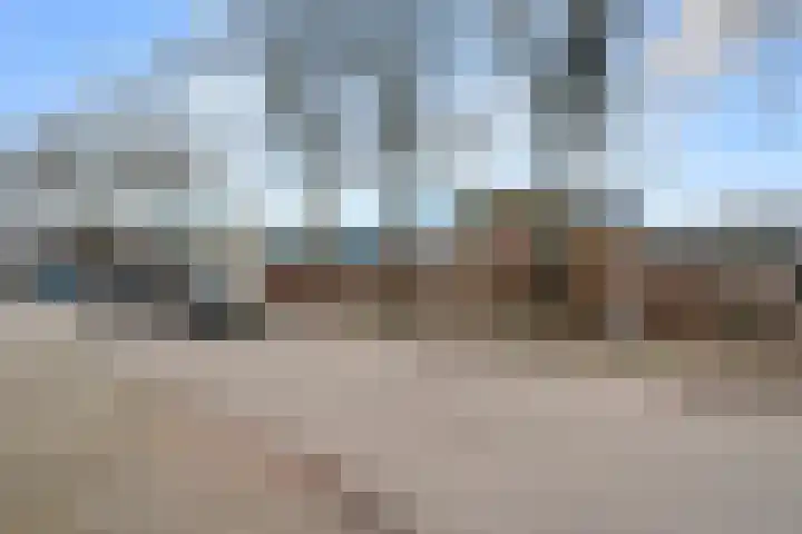 Boterbloem 12 Bennekom thumbnail 5