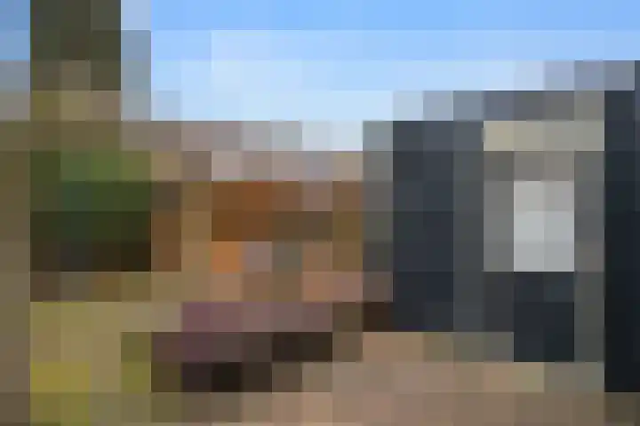 Boterbloem 12 Bennekom thumbnail 9