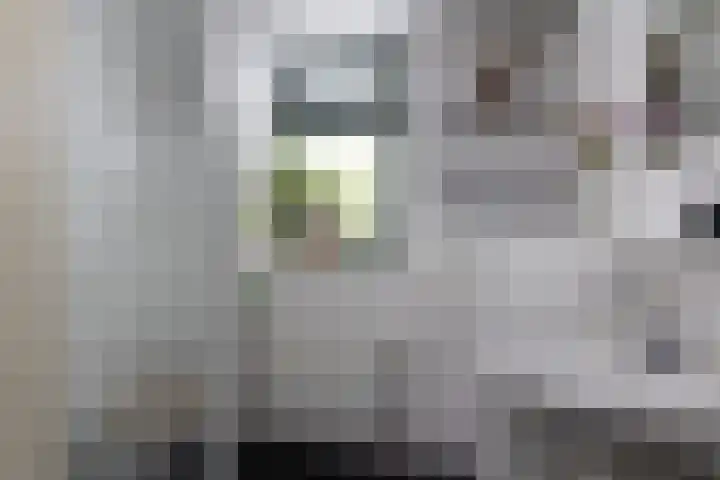 Boterbloem 12 Bunschoten-Spakenburg thumbnail 16