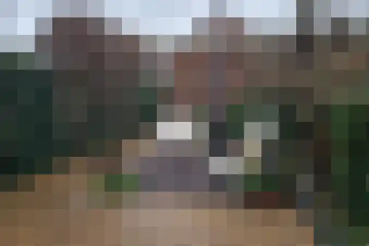 Boterbloem 12 Bunschoten-Spakenburg thumbnail 22