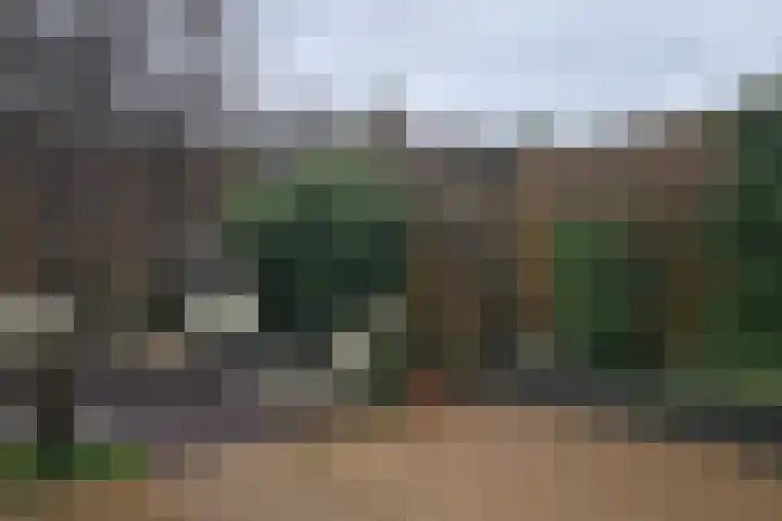 Boterbloem 12 Bunschoten-Spakenburg thumbnail 23