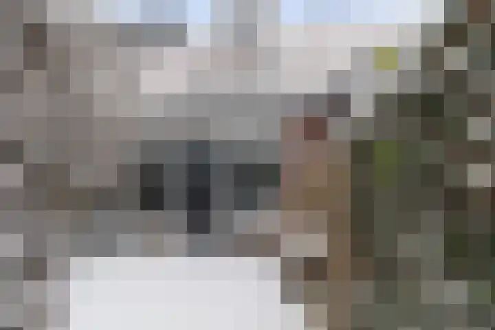 Boterbloem 12 Bunschoten-Spakenburg thumbnail 25