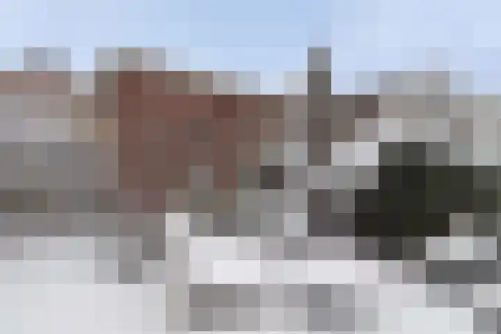 Boterbloem 12 Bunschoten-Spakenburg thumbnail 28