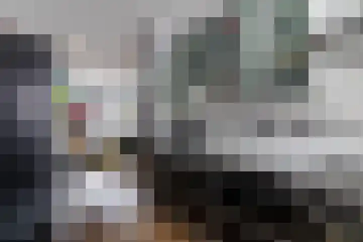 Boterbloem 12 Bunschoten-Spakenburg thumbnail 9