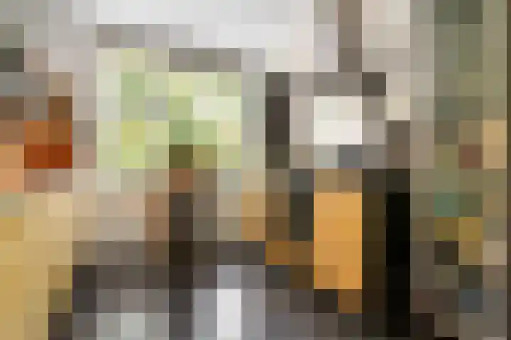 Boterbloem 12 Hardenberg thumbnail 18
