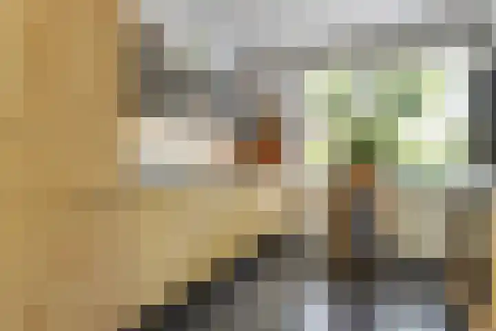 Boterbloem 12 Hardenberg thumbnail 19