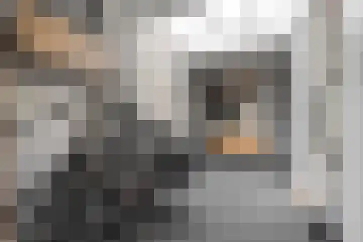 Boterbloem 12 Hardenberg thumbnail 35