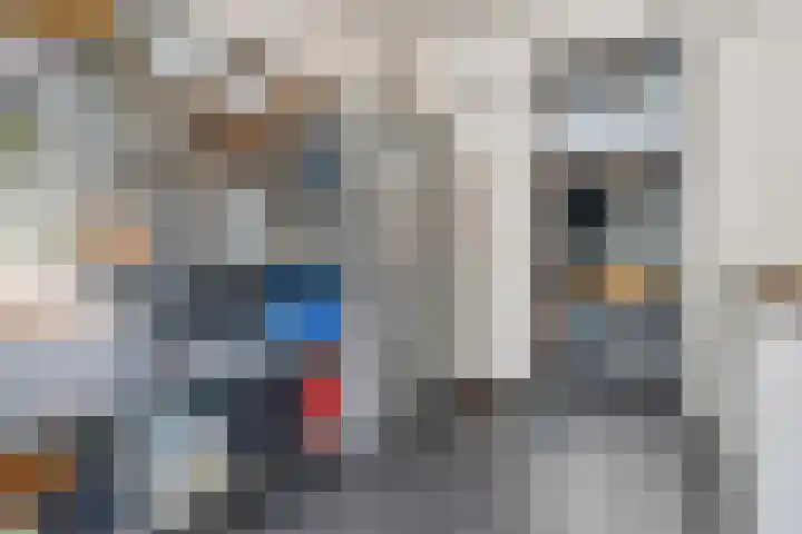 Boterbloem 12 Hardenberg thumbnail 39