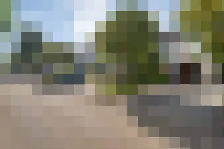 Boterbloem 12 Hardenberg thumbnail 4