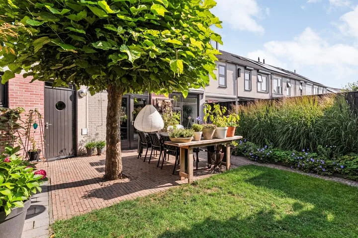 Boterbloem 12 Hardenberg thumbnail 42