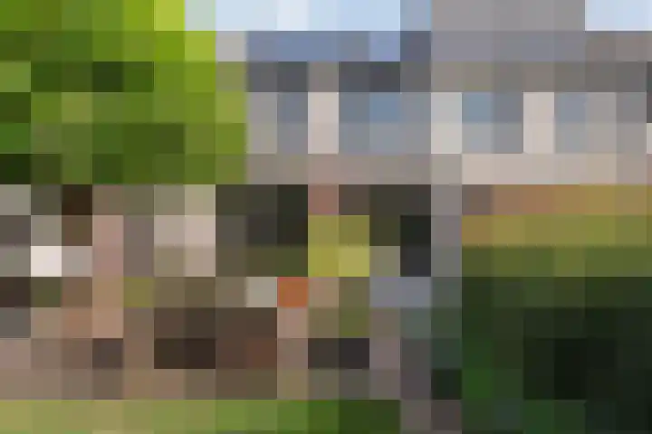 Boterbloem 12 Hardenberg thumbnail 43