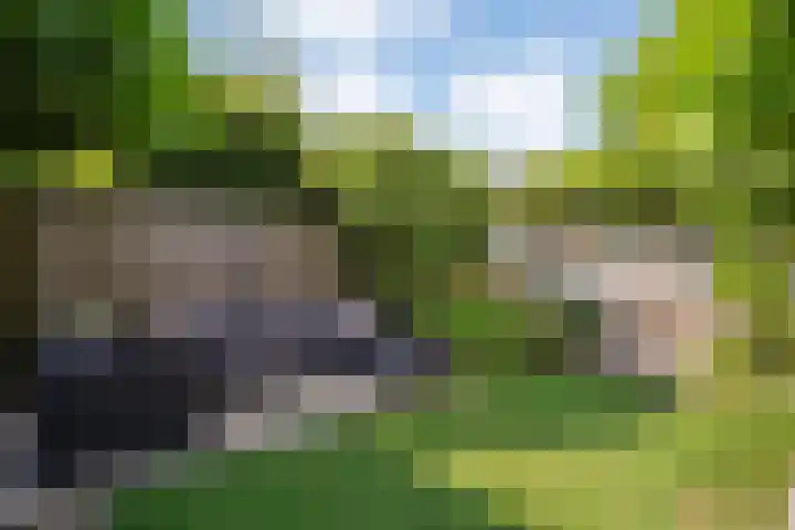 Boterbloem 12 Hardenberg thumbnail 44