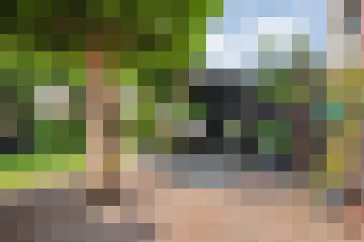 Boterbloem 12 Hardenberg thumbnail 45