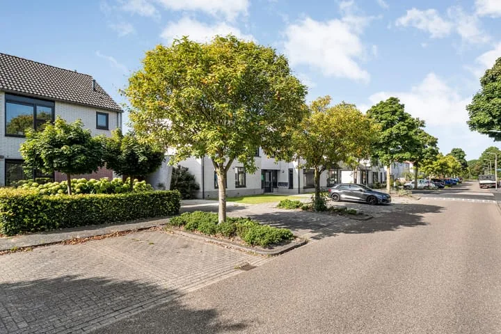 Boterbloem 12 Hardenberg thumbnail 5