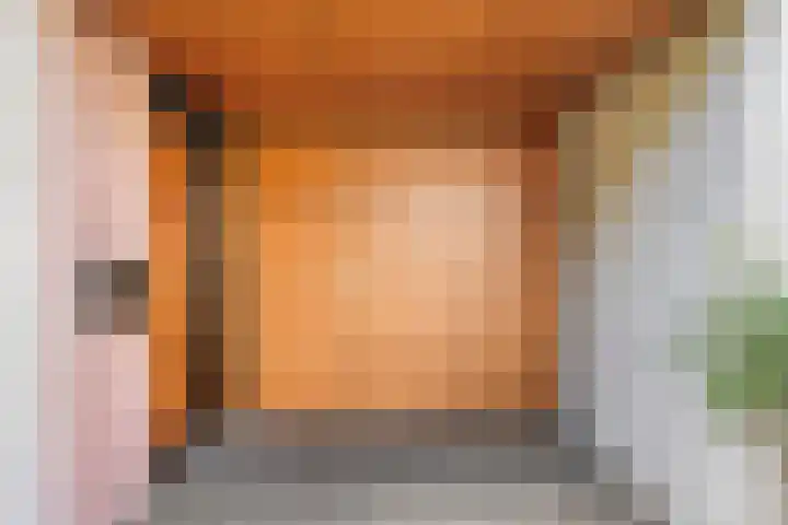 Boterbloem 12 Hardenberg thumbnail 7