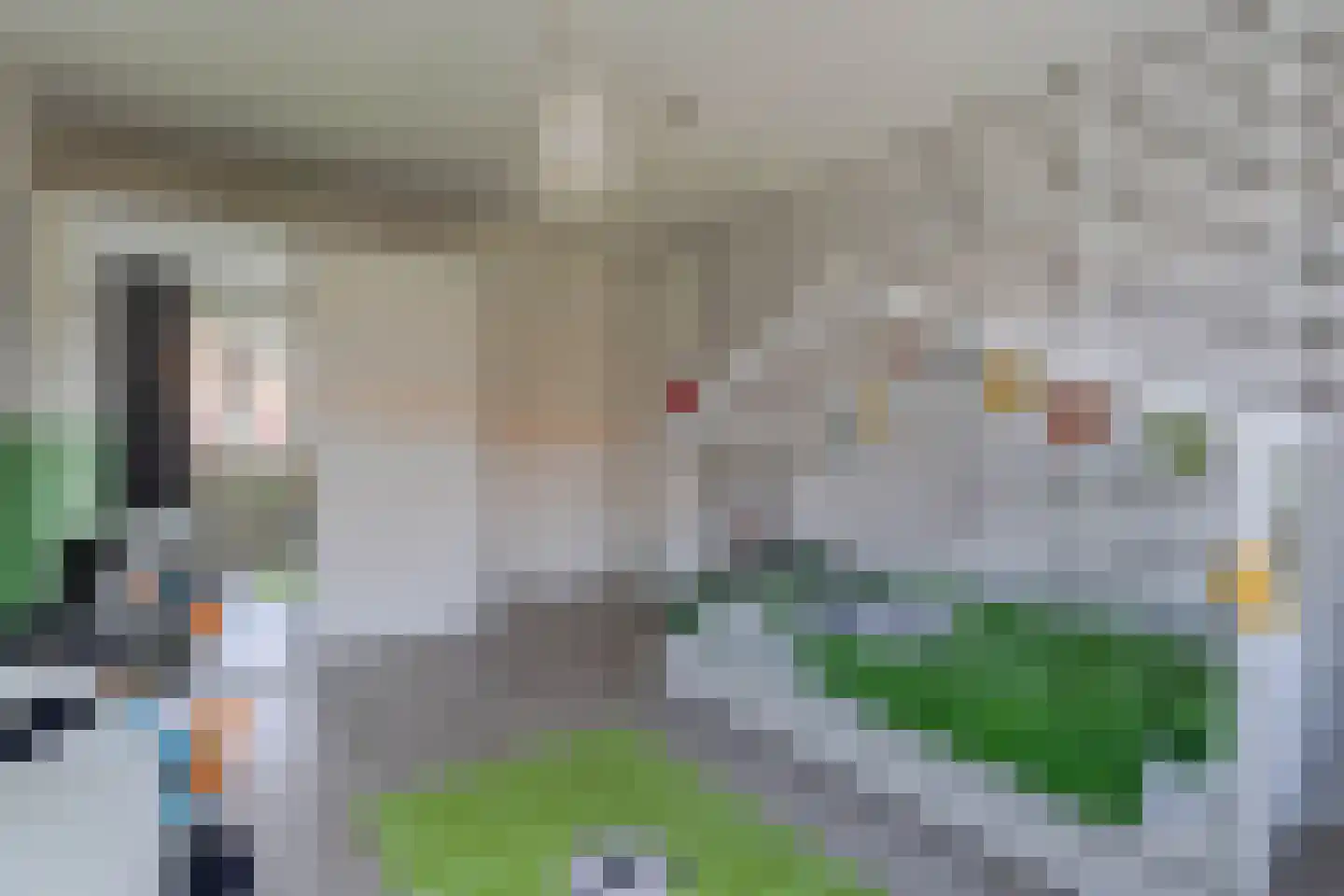 Boterbloem 12 Hazerswoude-Dorp thumbnail 23