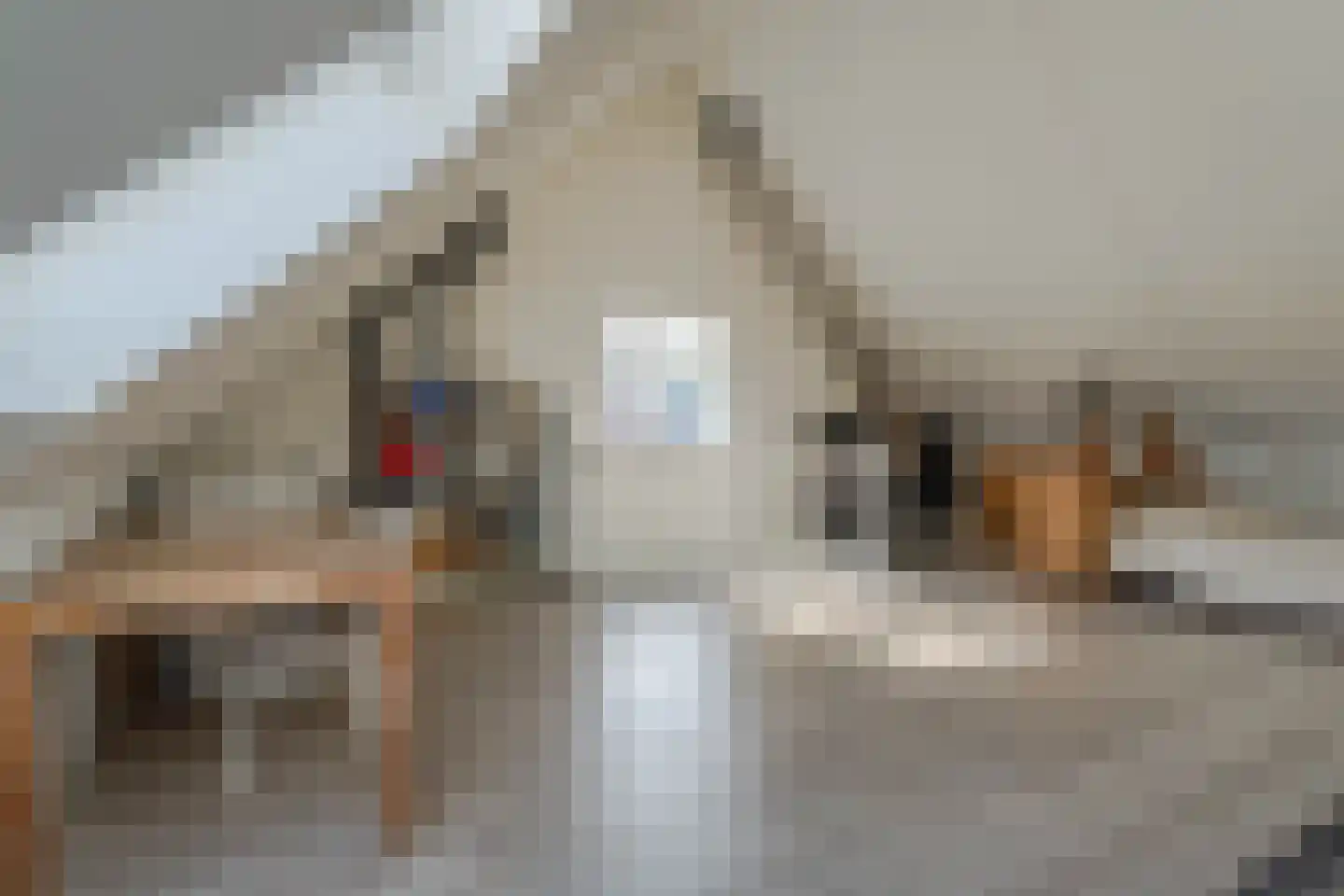 Boterbloem 12 Hazerswoude-Dorp thumbnail 32