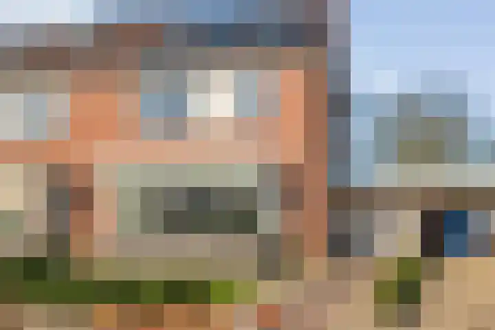 Boterbloem 13 in Dalfsen