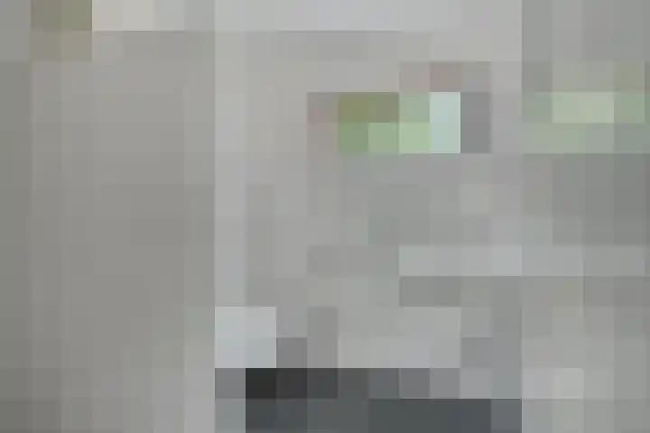 Boterbloem 13 Borne thumbnail 17