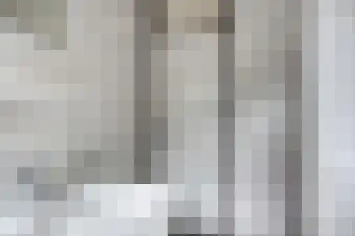 Boterbloem 13 Borne thumbnail 18