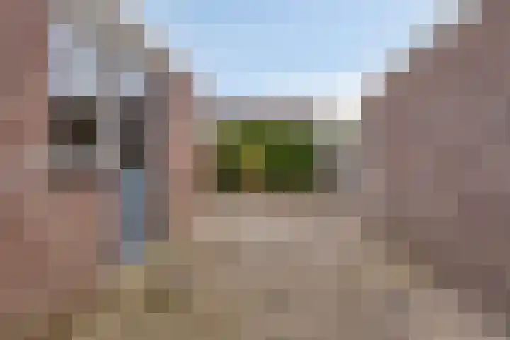 Boterbloem 13 Borne thumbnail 25