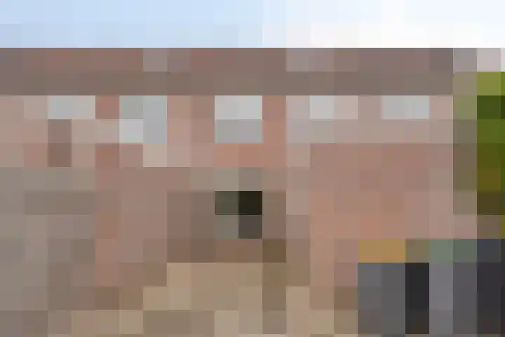 Boterbloem 13 Borne thumbnail 27