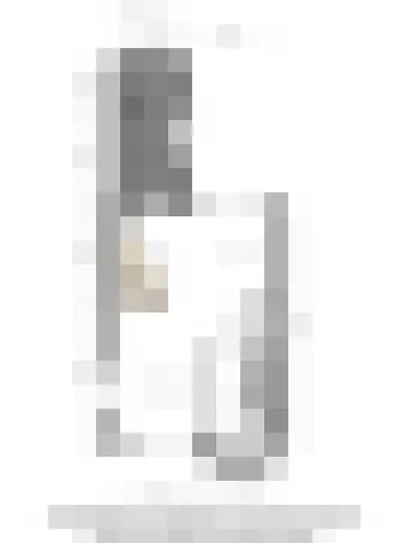 Boterbloem 13 Borne thumbnail 28