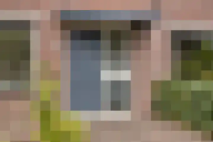Boterbloem 13 Borne thumbnail 4