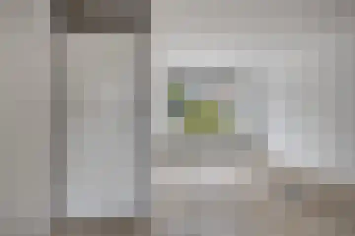 Boterbloem 13 Borne thumbnail 6
