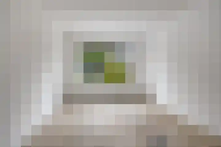 Boterbloem 13 Borne thumbnail 7