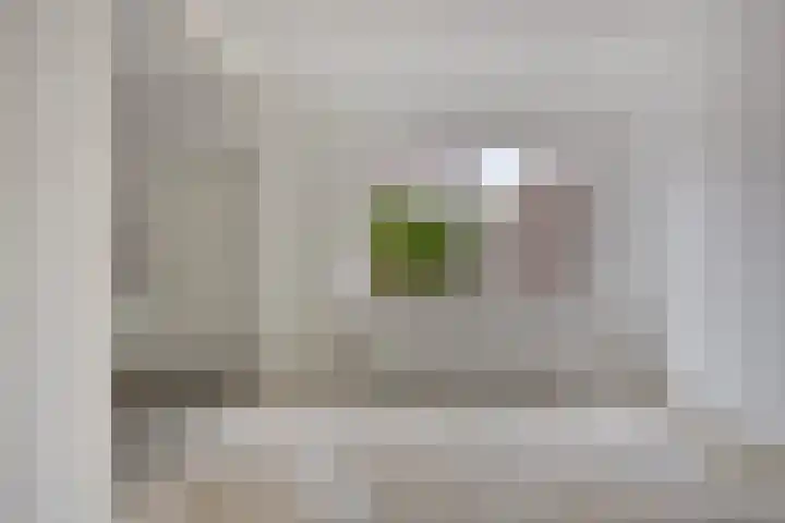 Boterbloem 13 Borne thumbnail 9