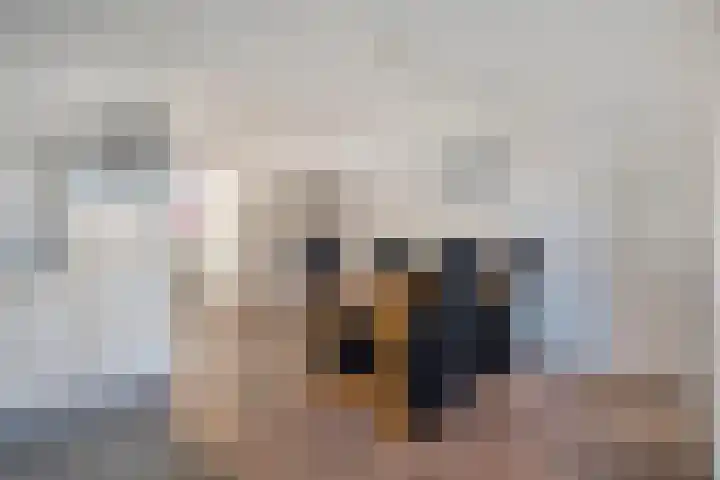 Boterbloem 13 Dalfsen thumbnail 10