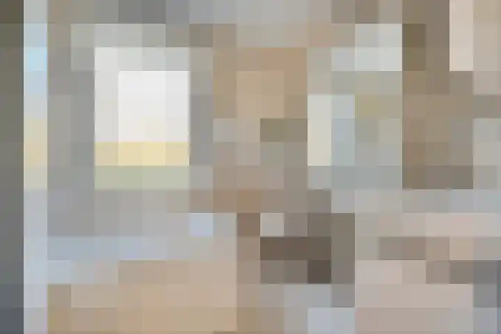 Boterbloem 13 Dalfsen thumbnail 22