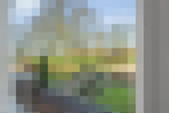 Boterbloem 13 Dalfsen thumbnail 26
