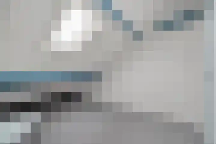 Boterbloem 13 Dalfsen thumbnail 31