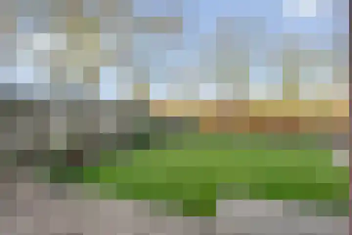 Boterbloem 13 Dalfsen thumbnail 32