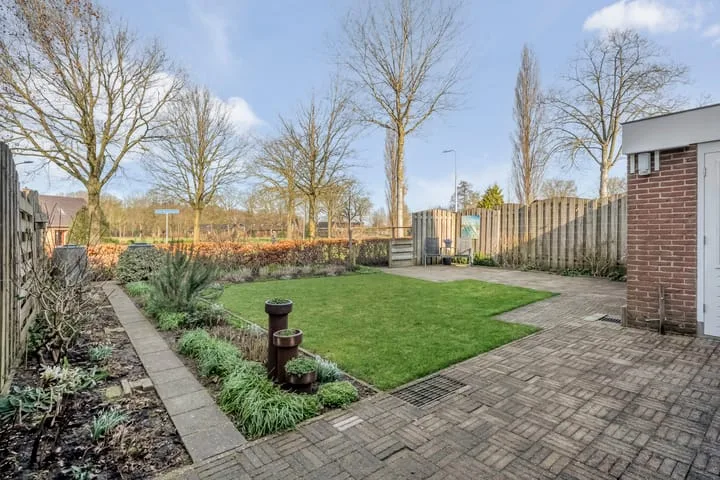 Boterbloem 13 Dalfsen thumbnail 33